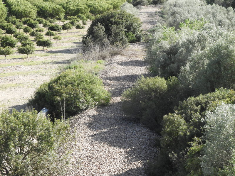 DSCN7533.JPG