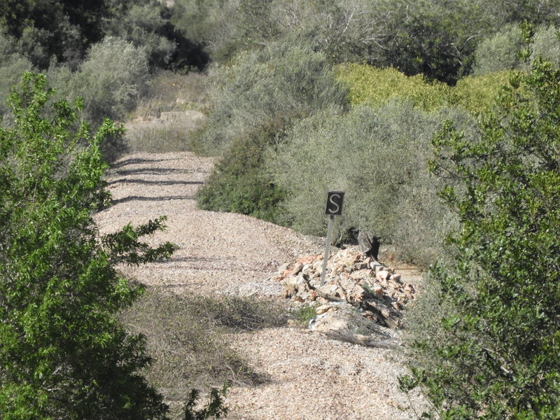 DSCN7536.JPG