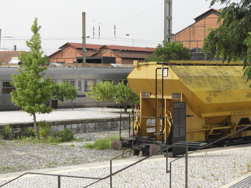 DSCN7333.JPG