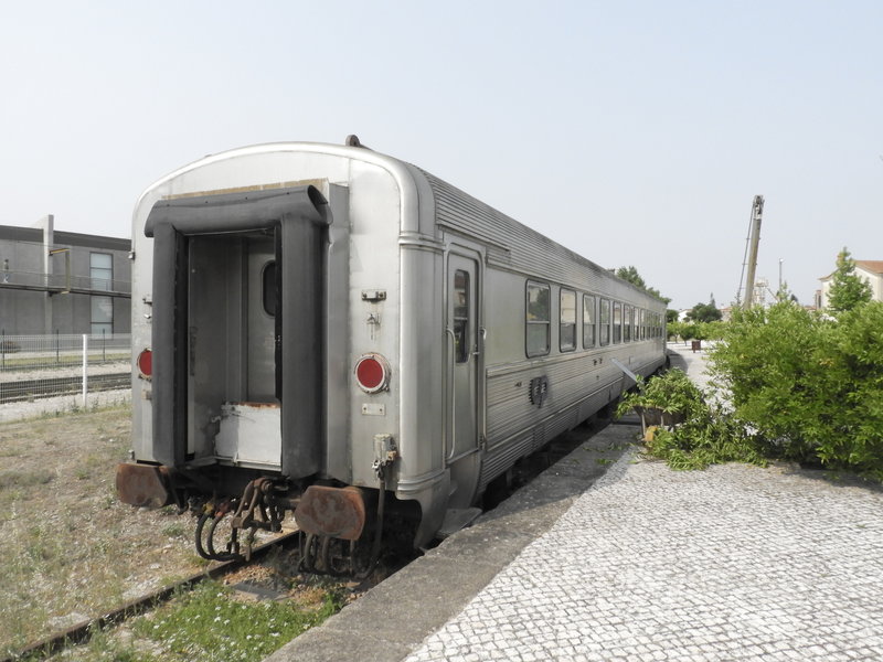 DSCN7338.JPG
