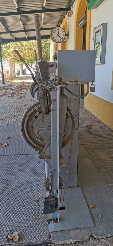 IMG_20230817_122228.jpg