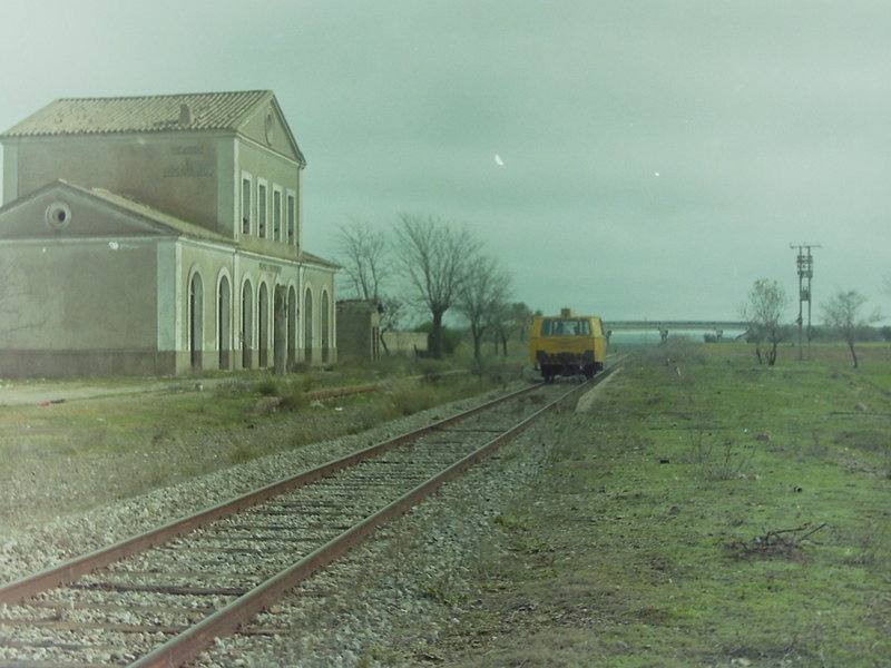PICT0266.JPG