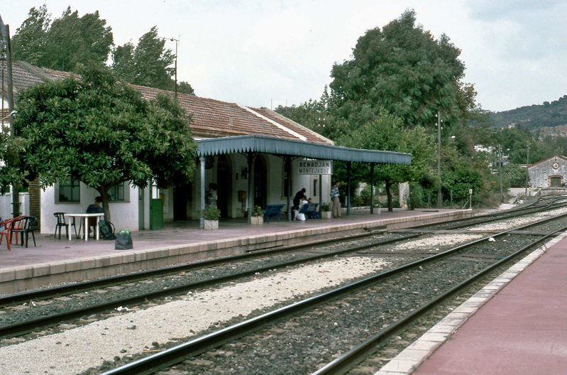 169.jpg