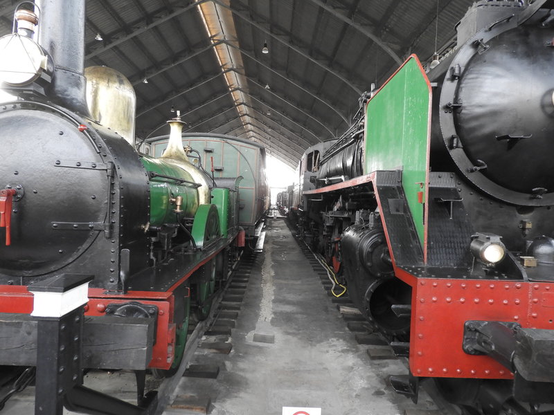 DSCN7417.JPG