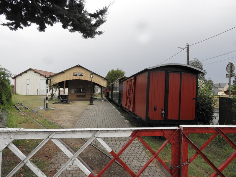 DSCN8631.JPG