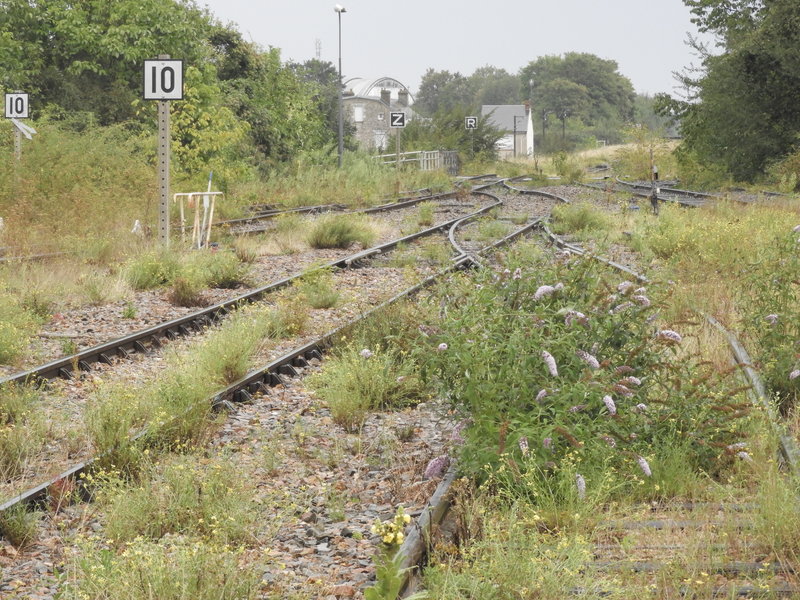DSCN8639.JPG