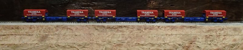 Tramesa1A.JPG