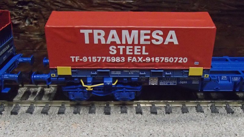 Tramesa ContA.JPG
