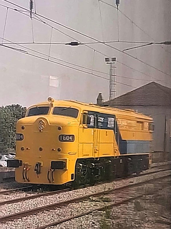 180015.jpg