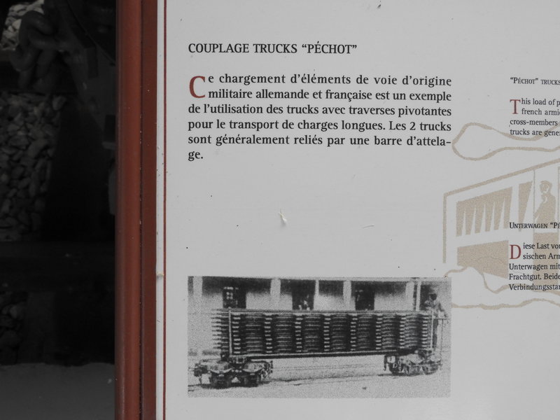 DSCN9700.JPG