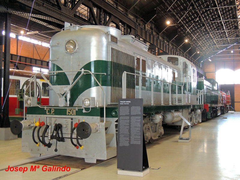 DSCN7424.jpg