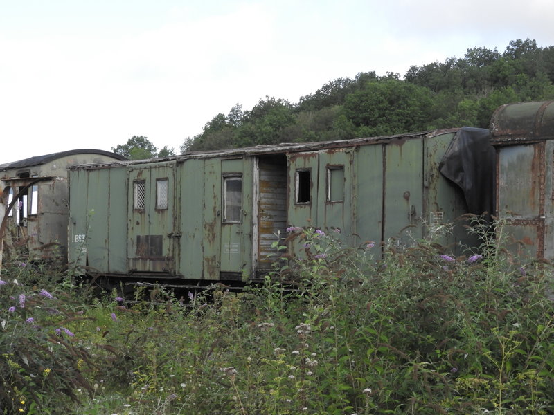 DSCN9874.JPG