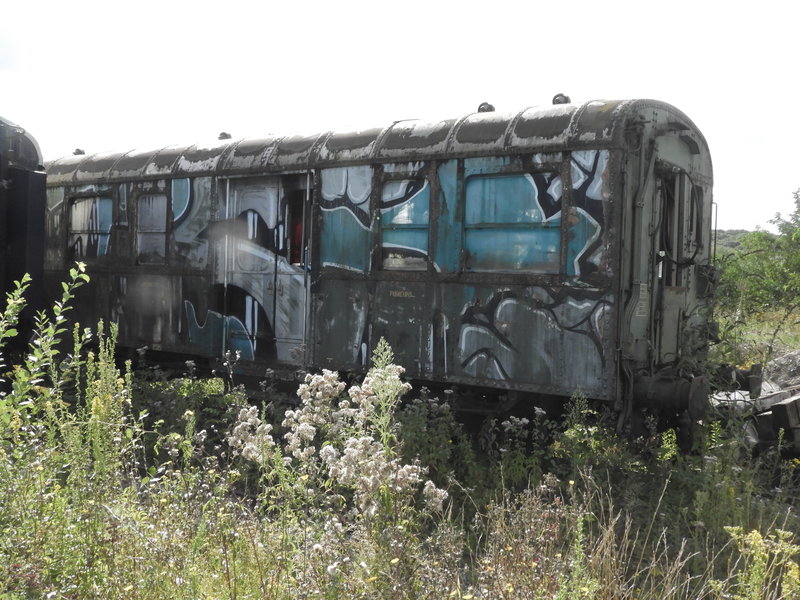 DSCN9878.JPG