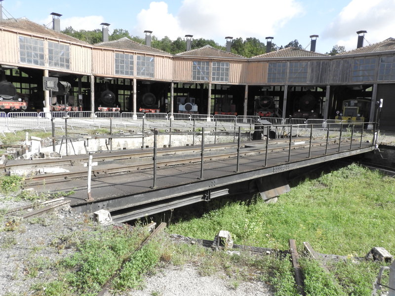 DSCN9910.JPG