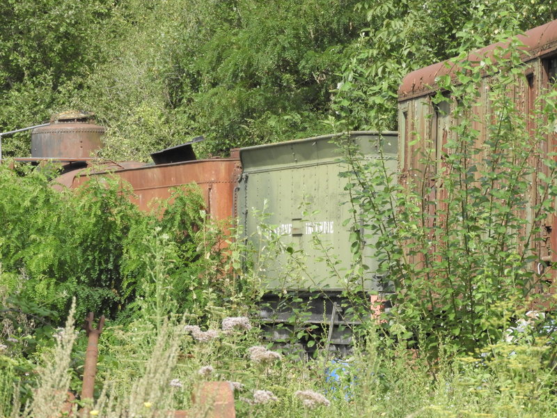 DSCN9937.JPG