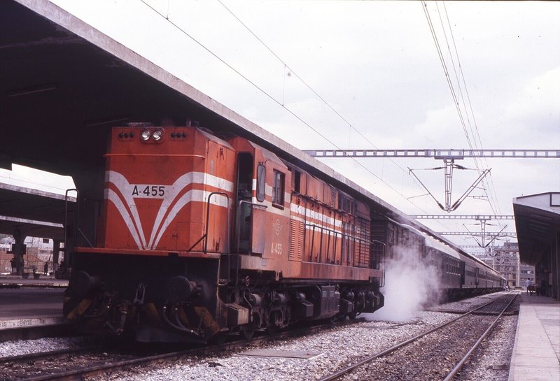190014.jpg