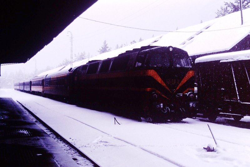 190020.jpg