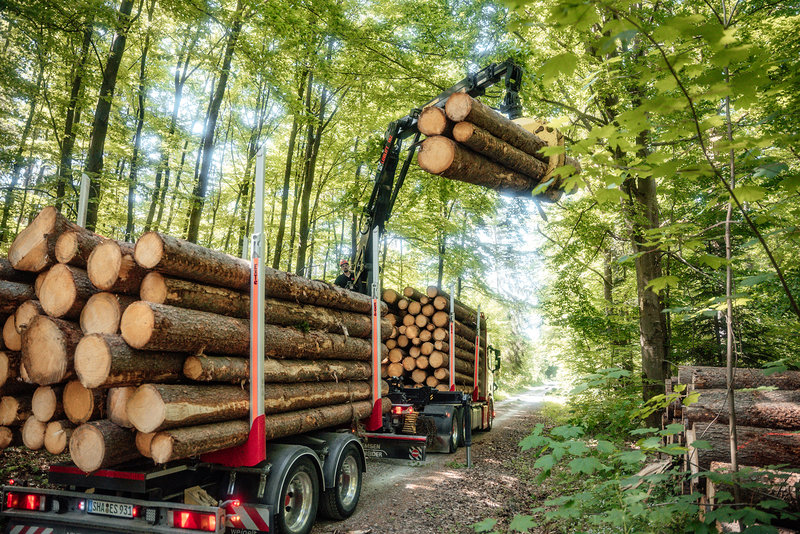 Madera larga.jpg