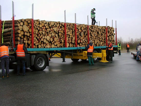 madera corta 2.jpg