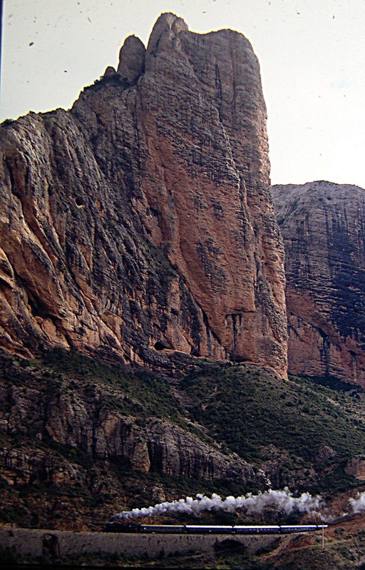 11931.JPG