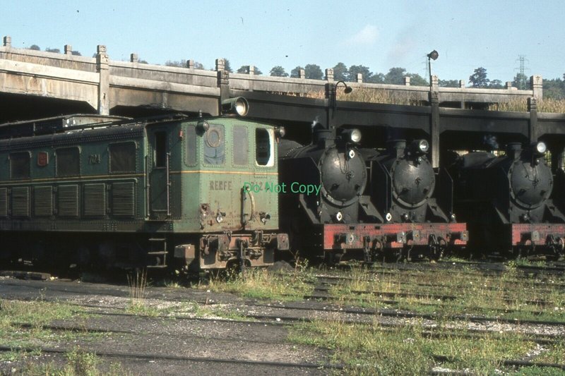190016.jpg