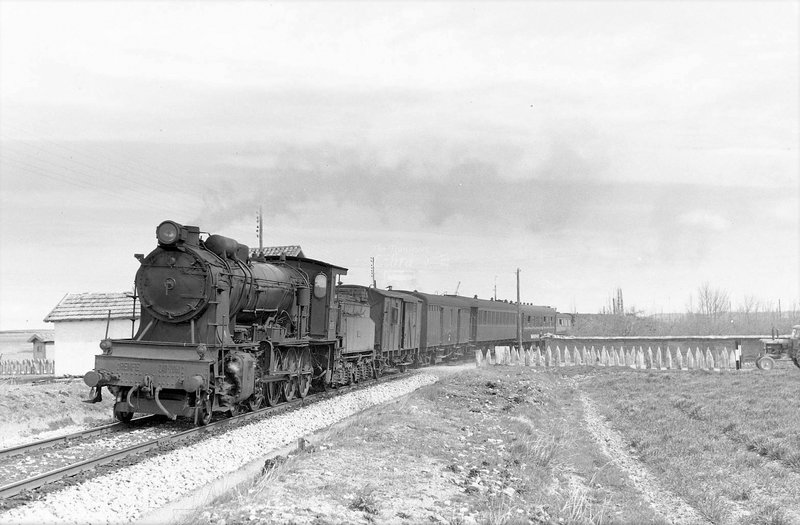 190036.jpg