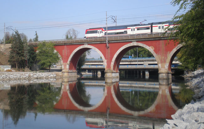 4298.jpg