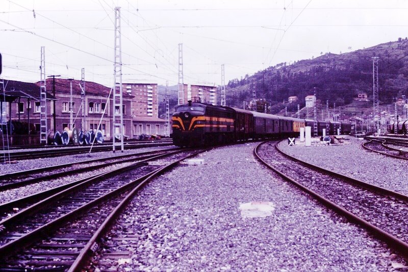 190021.jpg