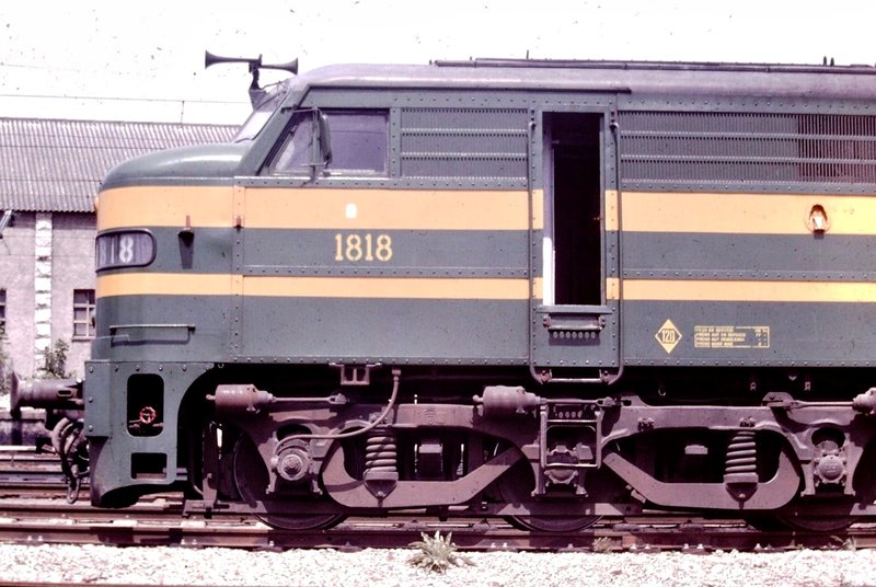 190037.jpg