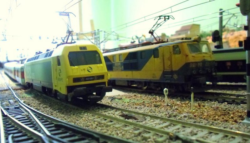 CIMG7336.JPG