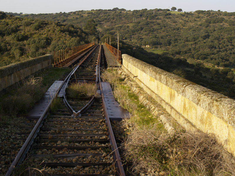 _A297783.JPG