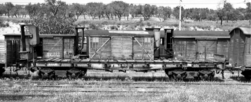 RENFE vagon plataforma de bogies con teleros (ex NORTE).jpg