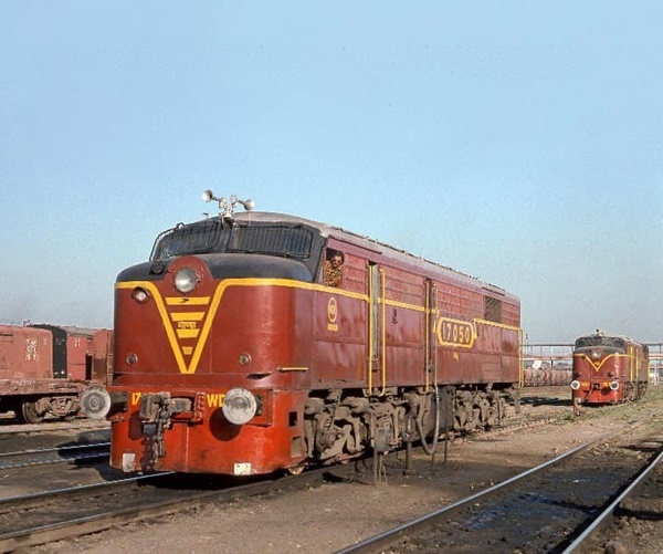 9032.jpg
