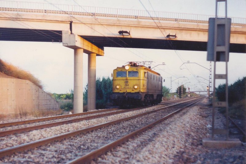 0489-N 276-068 aislada Valencia-Villarreal, aún viva. El Puig. 29-07-1993..jpg