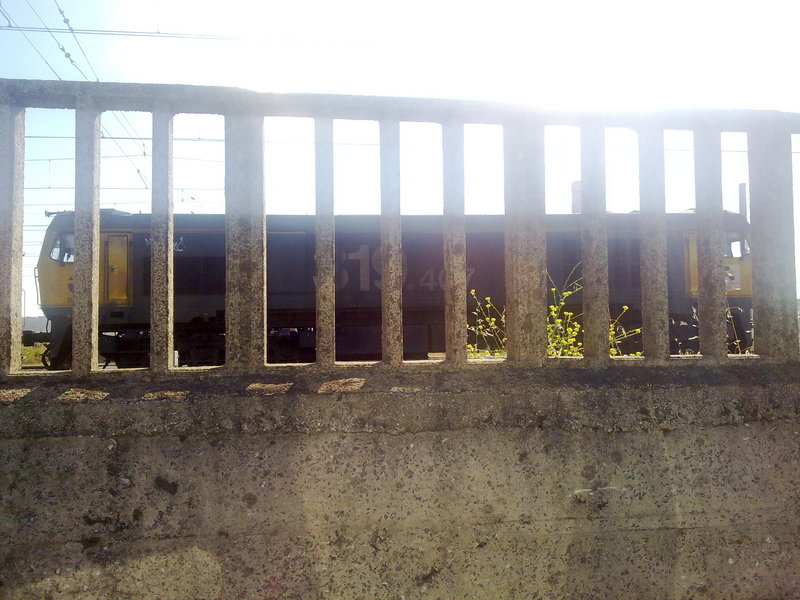 27072010065.jpg