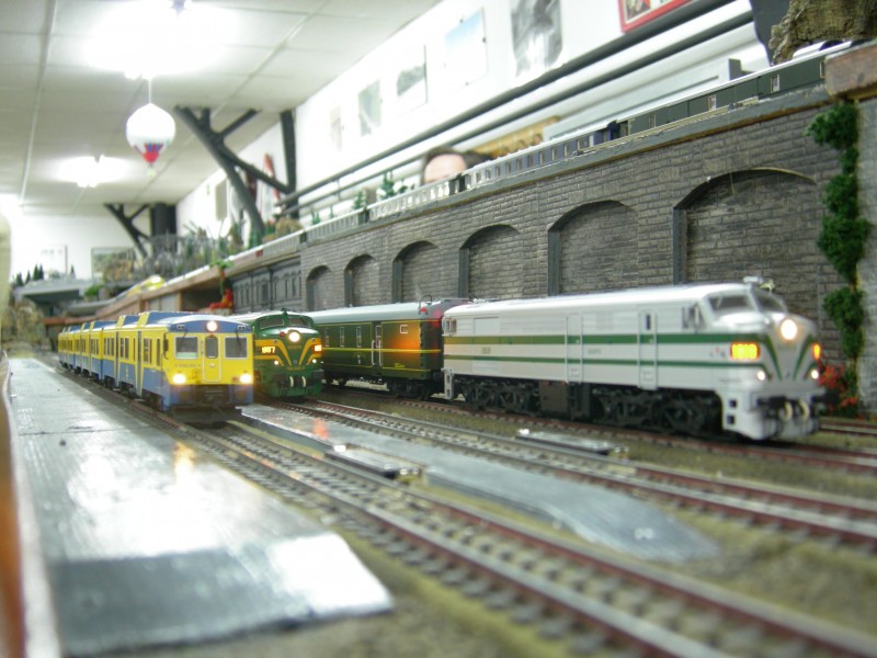 DSCN0390.jpg