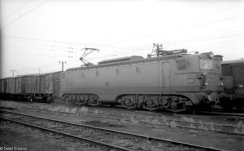 4323.jpg