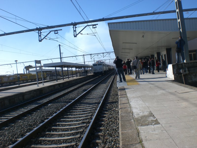 CIMG8795.JPG