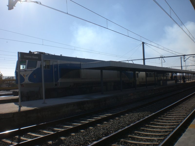 CIMG8802.JPG