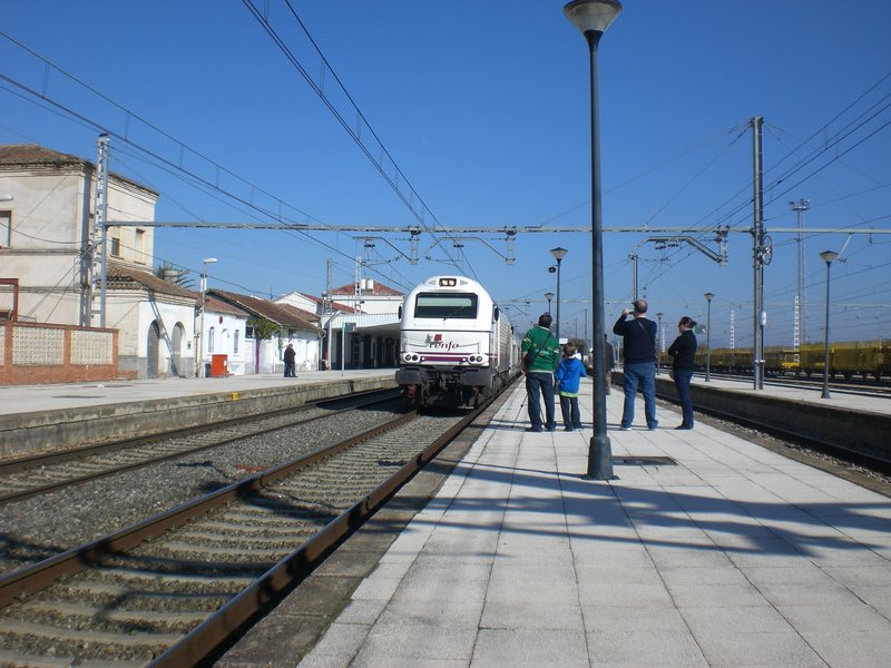 CIMG8814.JPG