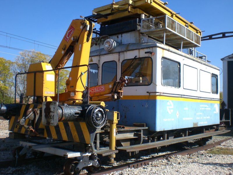 CIMG8843.JPG