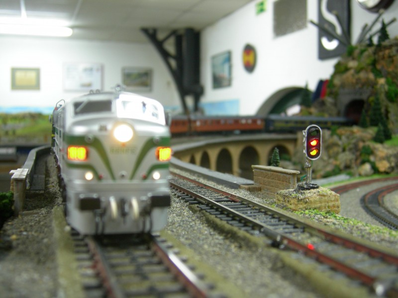 DSCN0395.jpg