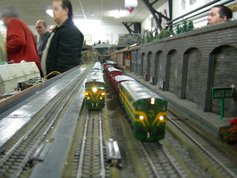 DSCN0396.jpg