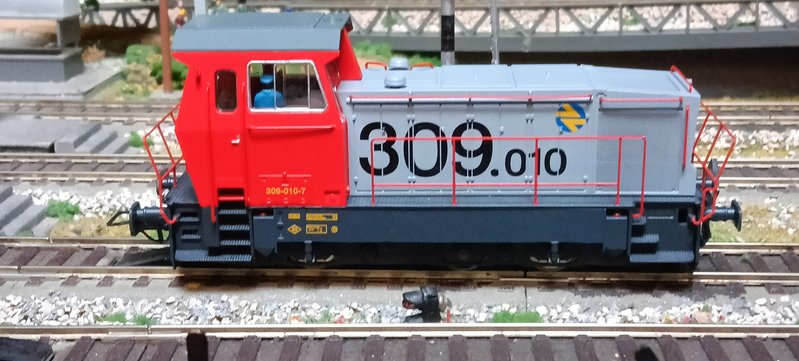 IMG20240503105009.jpg
