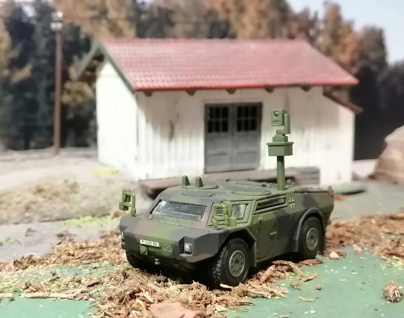 FENEK_01.jpg