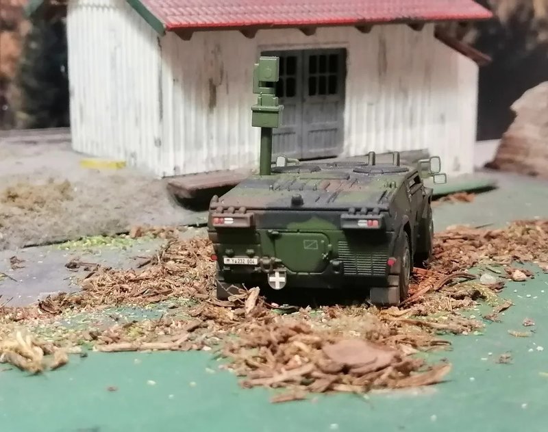FENNEK_03.jpg
