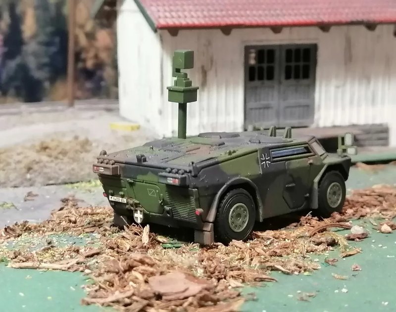 FENNEK_04.jpg