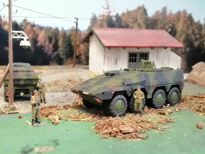 BOXER_02.jpg