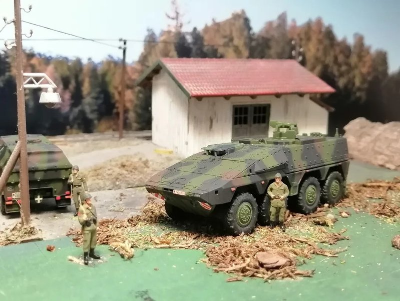 BOXER_04.jpg