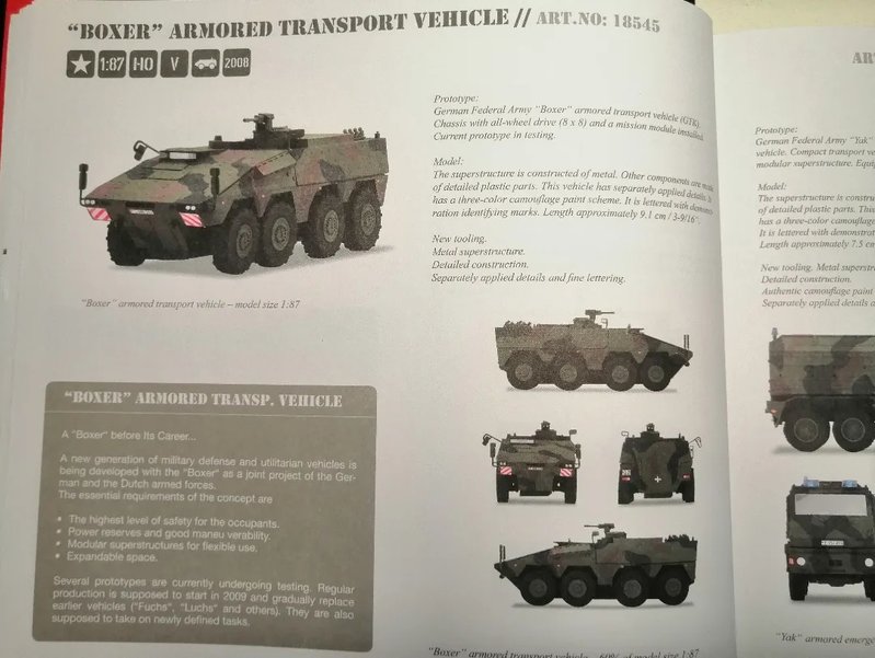 BOXER_07.jpg